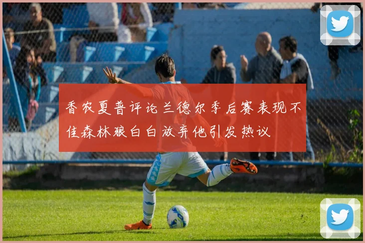 香农夏普评论兰德尔季后赛表现不佳森林狼白白放弃他引发热议